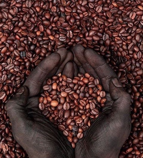 衣索比亞單品咖啡